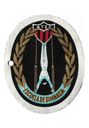 distintivos 1 0018 capa