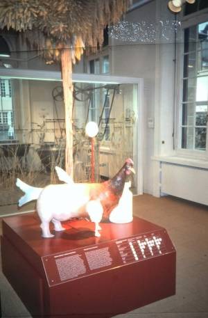 caja 3 vertical 1 0012 capa