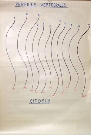 lam clases cursos 1 0002 capa