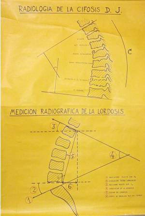 lam clases cursos 1 0005 capa