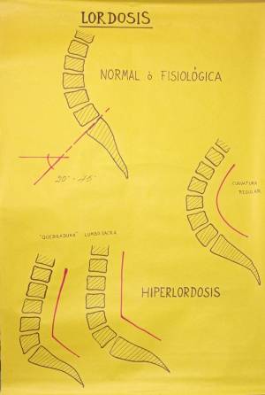 lam clases cursos 1 0006 capa