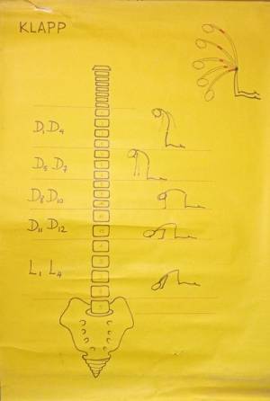 lam clases cursos 2 0004 capa