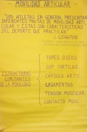 lam clases cursos 2 0008 capa