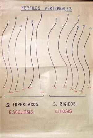 lam clases cursos 2 0010 capa