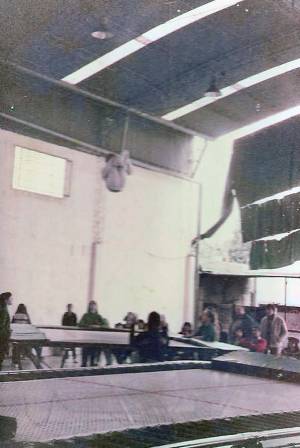 paseo con alumnos ver ed 0004 capa