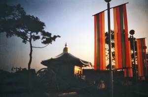 jgos diap 2 ok 0013 capa